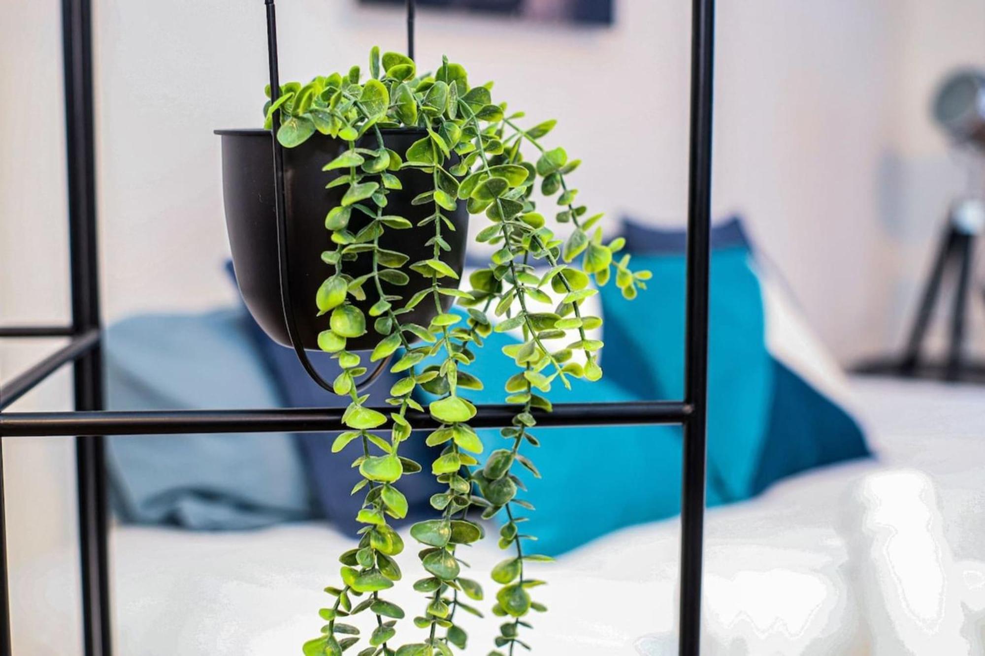 Parga 1 Hypercentre Toulouse - Capitole A 500M Apartment Ngoại thất bức ảnh